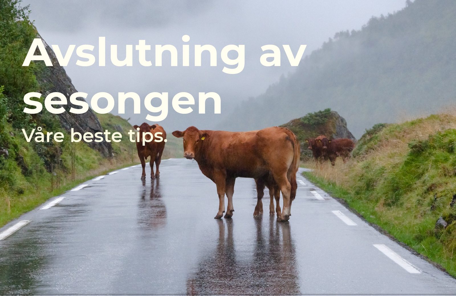 Sesongavslutning - tips til hva du bør huske på